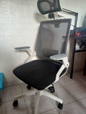 FS-Used but not abused! Ergonomic Chair