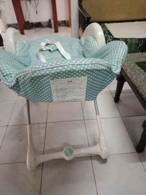 Baby swinger