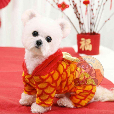 Chinese New Year Dragon Pet Hoodie Dog Cat Clothes Costume CNY Dress Tee Shirt