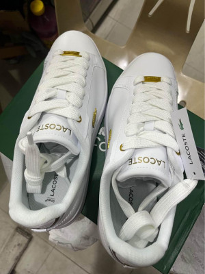 Brandnew lacoste
