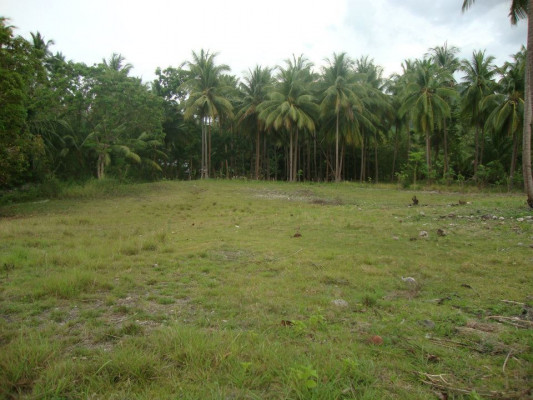 TITLED LOT FOR SALE IN ALEGRIA