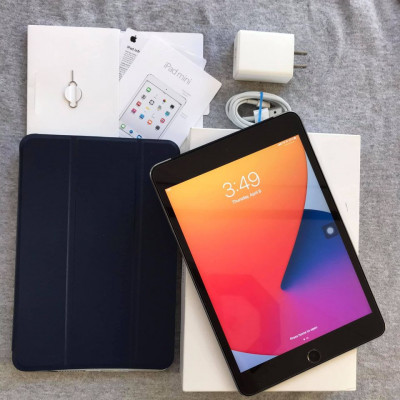 iPad Mini 4 64Gb Space Gray With Cellular