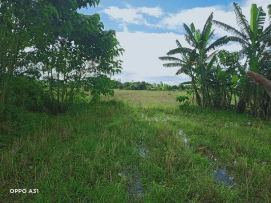 Lot - Lupao, Nueva Ecija