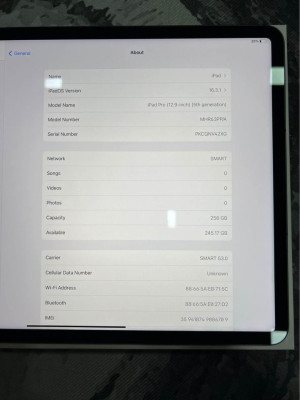 iPad Pro Wi-Fi + Cellular (256GB)