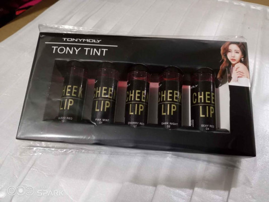 5 in 1 tony moly liptint