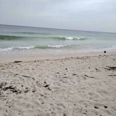 Beach lot Beach front white sand beach for sale good for resort development