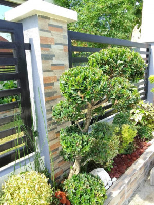 Forsale 3bedroom house in Malolos