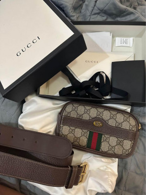 Gucci ophidia belt bag