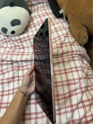 iPad Air 4th Gen Pink (64gb)