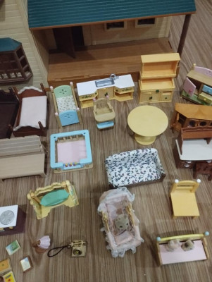 Sylvanian green masion