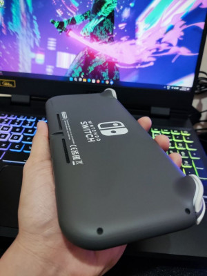 Nintendo Switch Lite