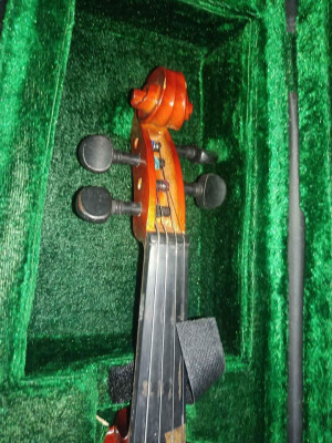 Violin