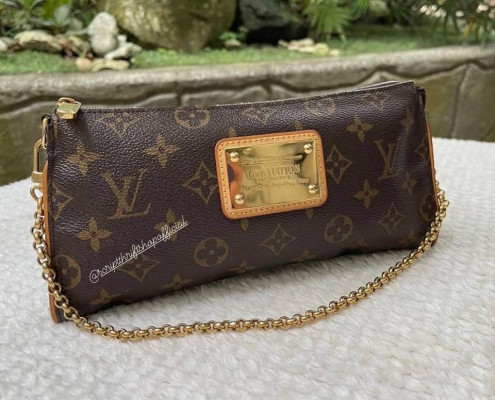 Louis Vuitton Sophie Monogram like eva