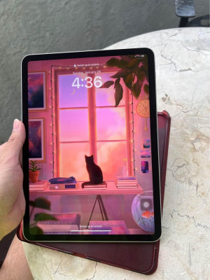 iPad Pro M1 11” 128gb Wifi Silver