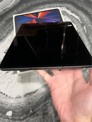 iPad Pro Wi-Fi + Cellular (256GB)