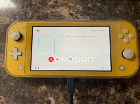 Nintendo Switch Lite