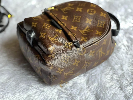 Louis Vuitton Mini Palmspring