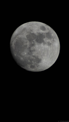 Samyang 650mm-1300mm Telescope Lens