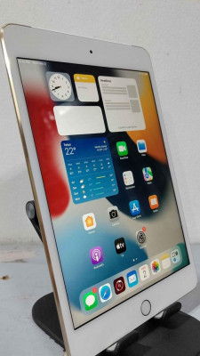 iPad mini 4 w/sim slot