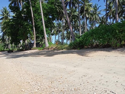 Beach lot for sale - Palawan, Quezon, Palawan