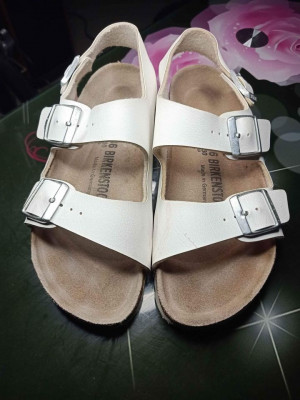 Preloved birken