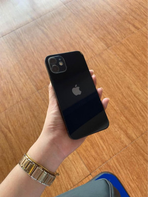 iphone 12 (not mini)
