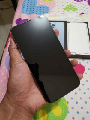 Iphone 13 Pro Max 256gb Smartlocked