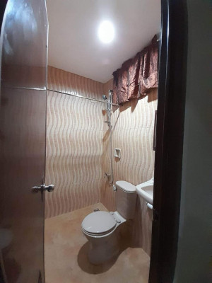 Fully developed house and lot