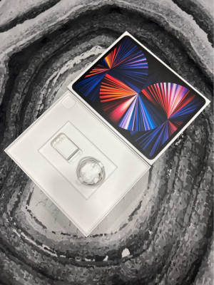 iPad Pro Wi-Fi + Cellular (256GB)