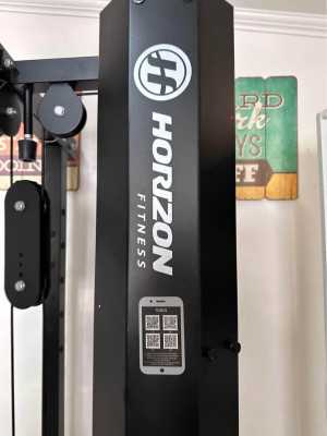 Horizon Workout Machine
