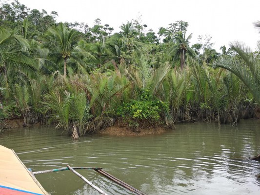 Farmlot 1.1 hectares