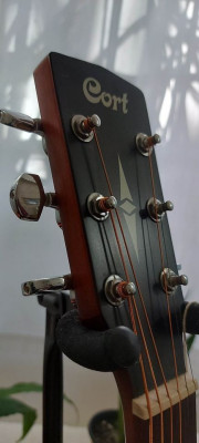 Cort Acoustic Guitar
