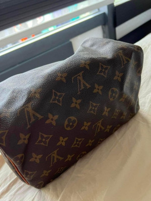 LV Mini Speedy (Brown)