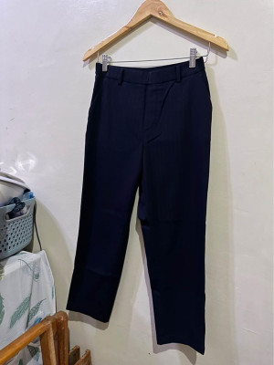 Uniqlo trouser pants