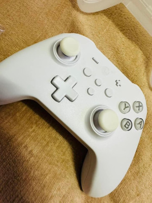 KingKong 2 PRO Controller (white)