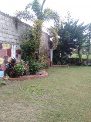 HOUSE & LOT FOR SALE