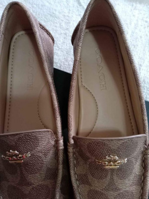 Coach Marley  Canvas Shoes