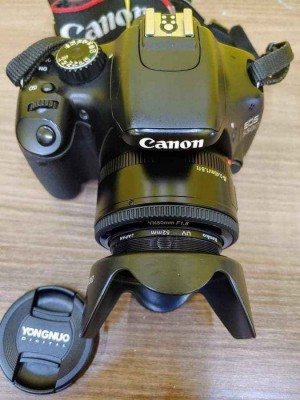 Canon 550D w/ Yongnou 50mm 1.8 prime lens