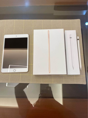 iPad mini (5th Gen) Wifi 64GB