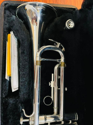 MTR500s MINERVA JAPAN TRUMPET