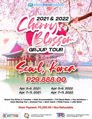 CHERRY BLOSSOM IN KOREA GROUP TOUR