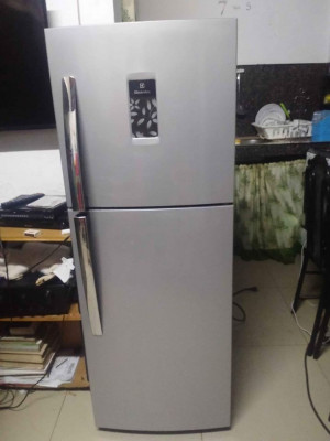 Electrolux double door