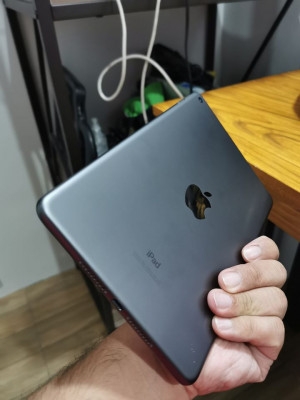 Apple Ipad Mini 5