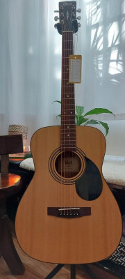 Cort Acoustic Guitar