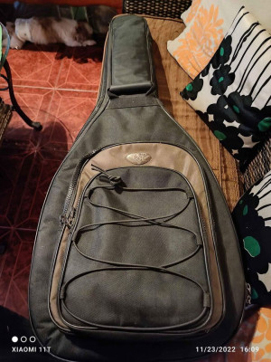 Acoustic Guitar (SX custom guitar) high end