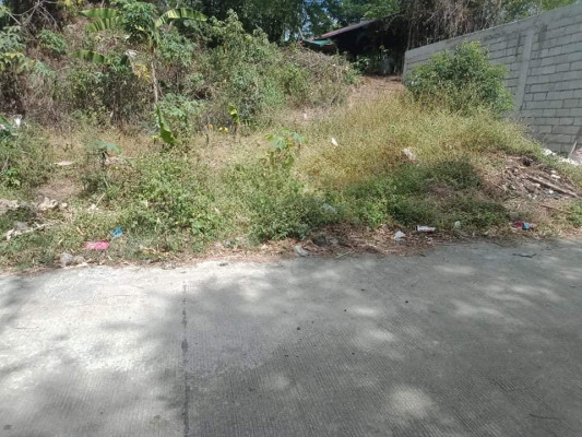 Lot for sale residential