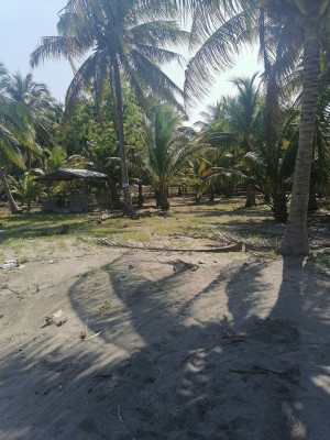 Forsale 10,000sqm beachlot negotiable pa, Digos-city