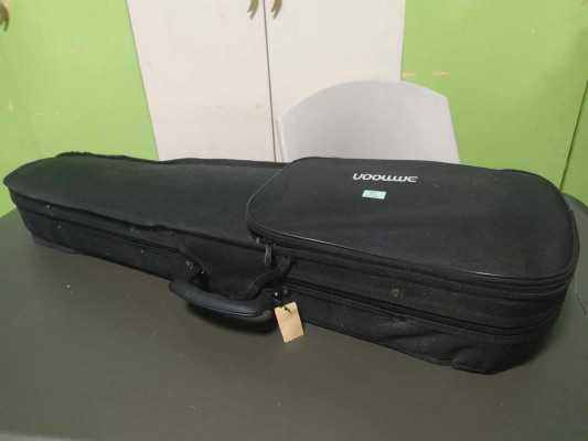 Get your Electric Violin Now!! FOR SALE