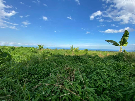 For Sale or Barter Lot