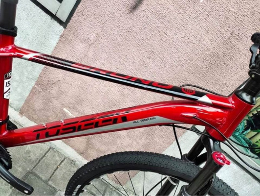 toseek halley 29er